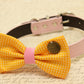 Yellow Dog Bow Tie collar, Bow tie attached to dog collar, Pet wedding accessory , Wedding dog collar