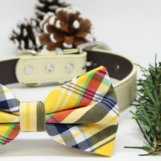 Plaid dog Yellow Blue bow tie Collar, Wedding lovers, dog birthday gift, Pet accessory , Wedding dog collar