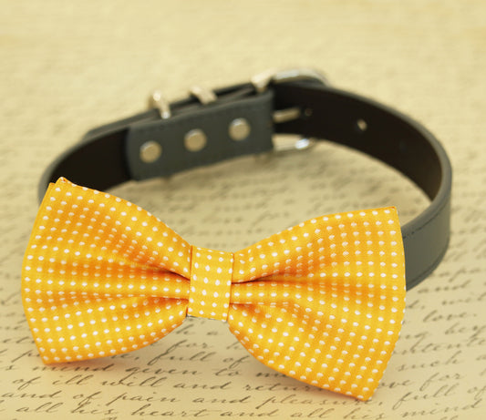 Yellow dog bow tie attached to collar, dog lovers, birthday, beach wedding , Wedding dog collar