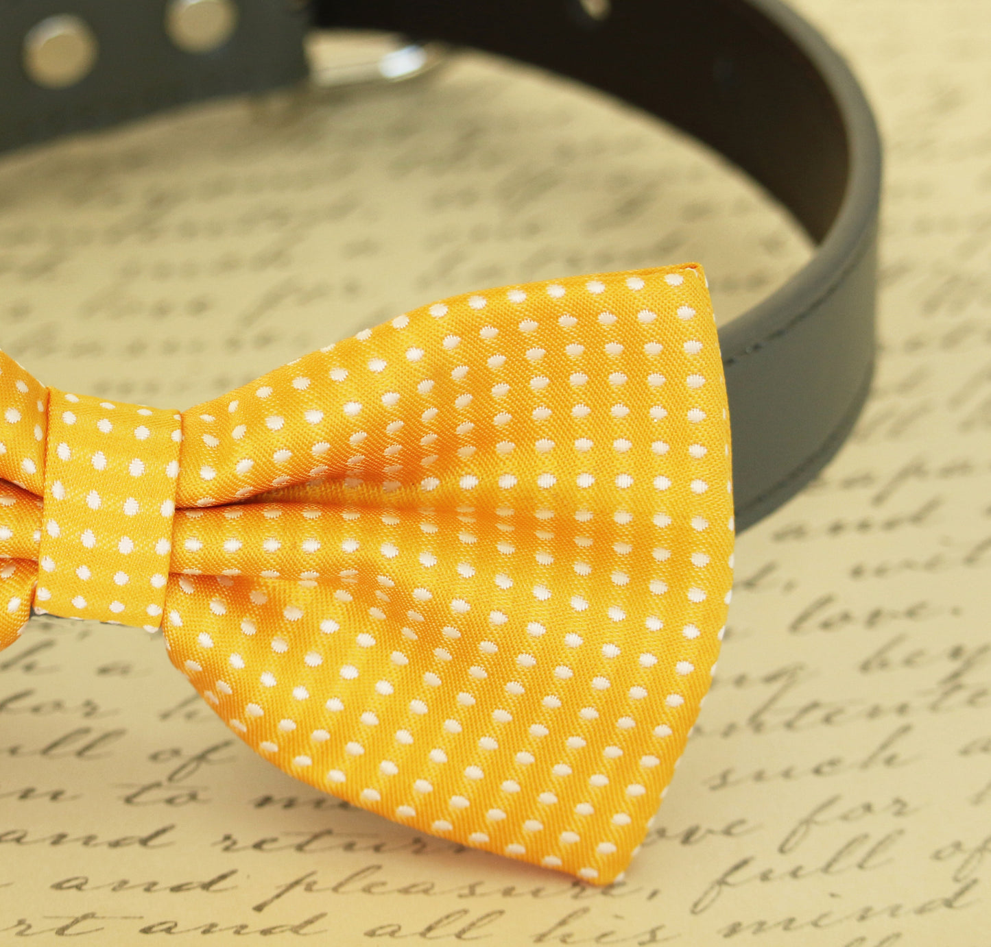 Yellow dog bow tie attached to collar, dog lovers, birthday, beach wedding , Wedding dog collar