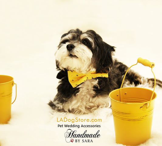Yellow Dog Bow tie collar, pet wedding beach accessory, dog prints , Wedding dog collar