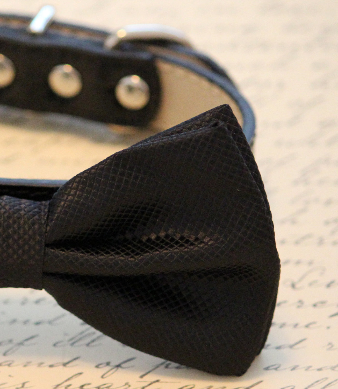 Black Dog Bow Tie attached to collar, Pet Wedding accessory, Dog lovers , Wedding dog collar