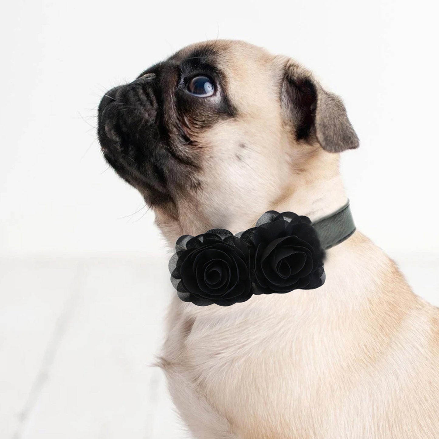 Black Flower dog collar, Handmade flower leather collar, Dog ring bearer proposal XS to XXL collar, Puppy Girl flower collar, dog lover gift
