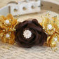 Gold and Brown Floral Dog Collar, Pet wedding accessory , Wedding dog collar