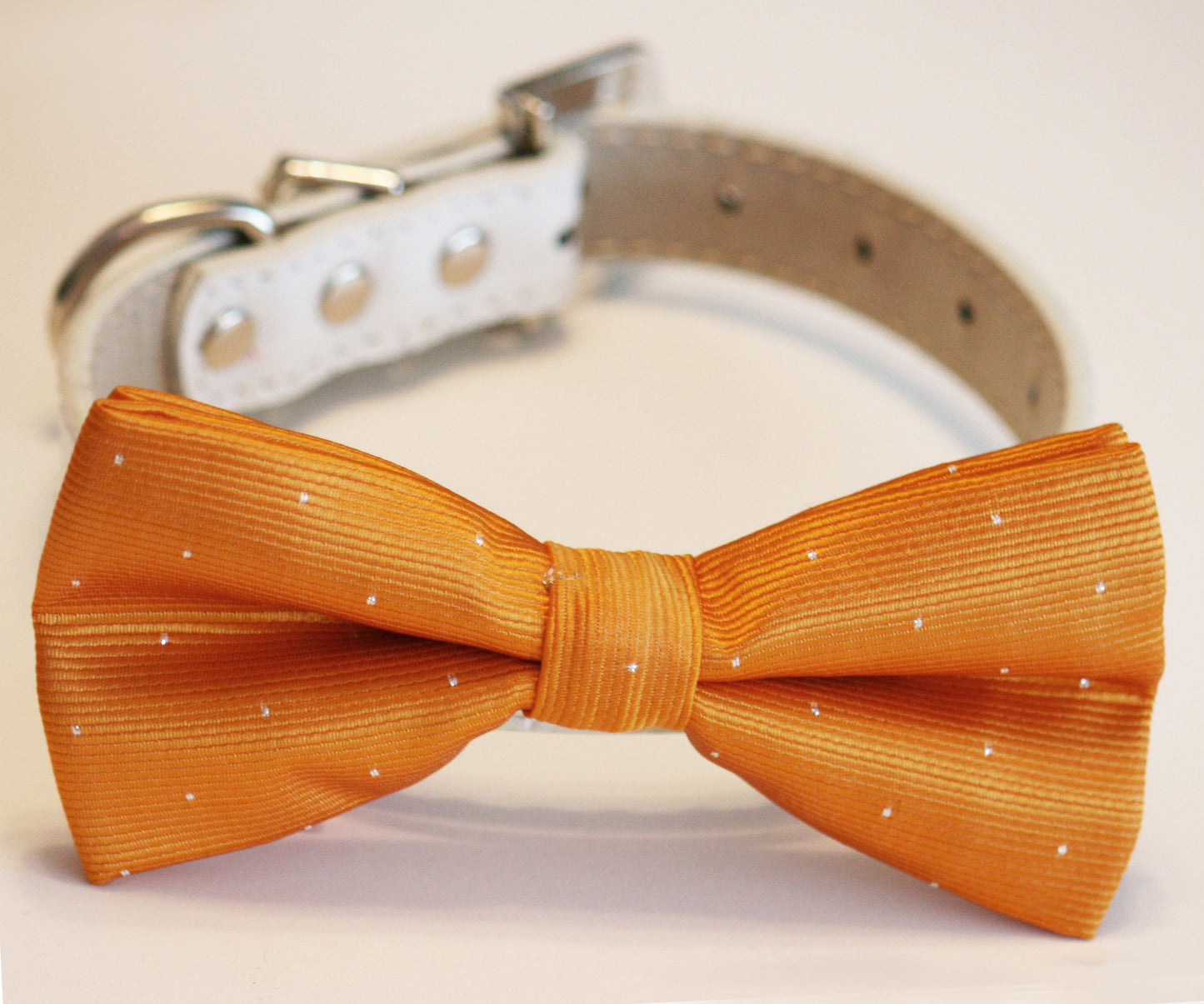 Burnt orange Dog Bow Tie, Pet wedding accessory, Burnt orange Wedding , Wedding dog collar