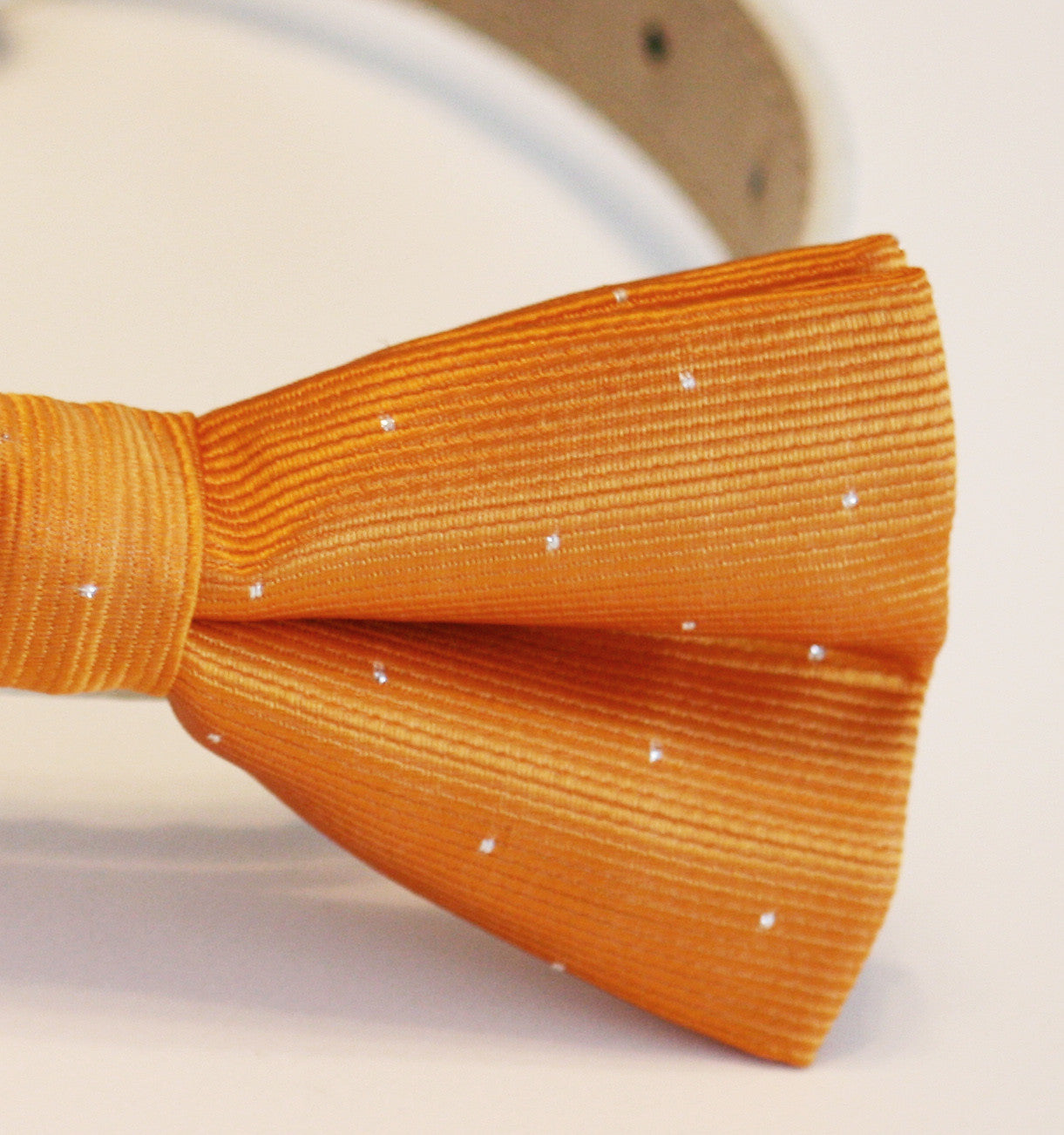 Burnt orange Dog Bow Tie, Pet wedding accessory, Burnt orange Wedding , Wedding dog collar