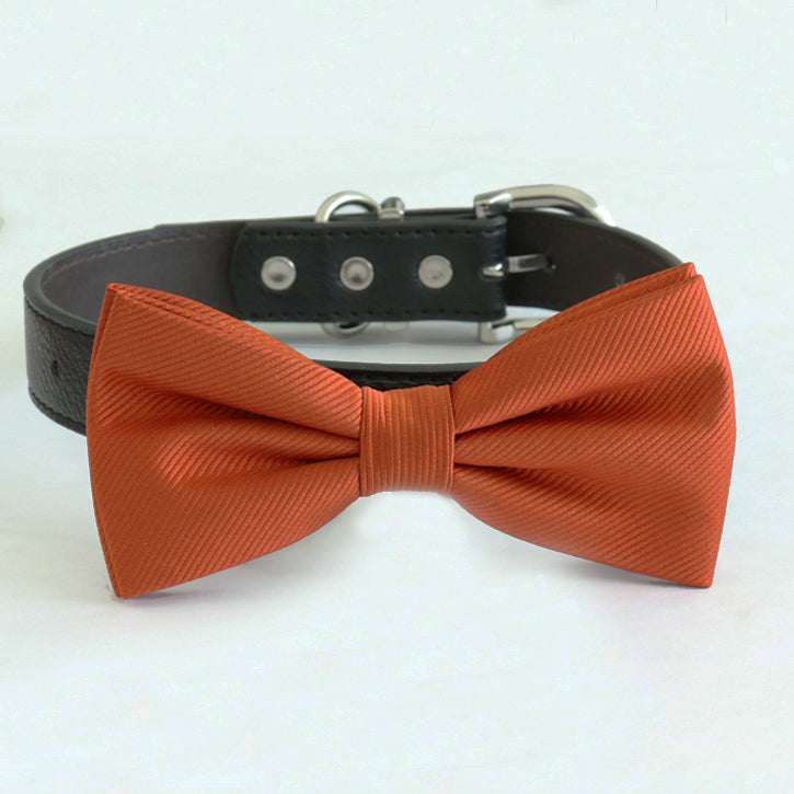 Cinnamon bow tie collar, handmade Puppy bow tie, XS to XXL collar and bow adjustable Dog ring bearer ring bearer, Cinnamon bow tie , Wedding dog collar