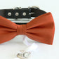 Cinnamon bow tie collar Leather collar Dog ring bearer ring bearer adjustable handmade XS to XXL collar and bow, Puppy bow collar, Proposal , Wedding dog collar