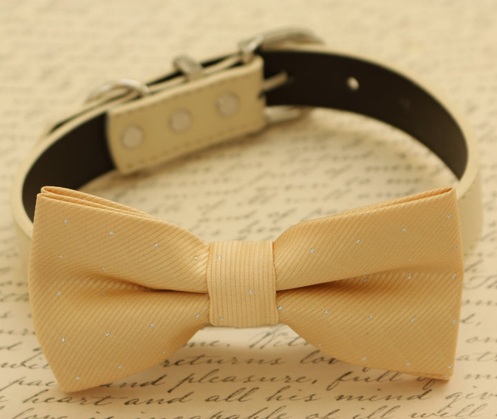 Champagne dog bow tie, Bow attached to dog collar, Pet wedding accessory , Wedding dog collar