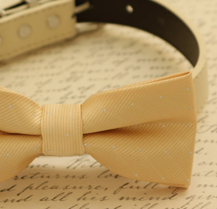 Champagne dog bow tie, Bow attached to dog collar, Pet wedding accessory , Wedding dog collar