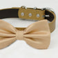 Champagne bow tie collar XS to XXL collar and bow tie, adjustable, Puppy bow tie, handmade, Dog ring bearer ring bearer, Champagne dog collar , Wedding dog collar