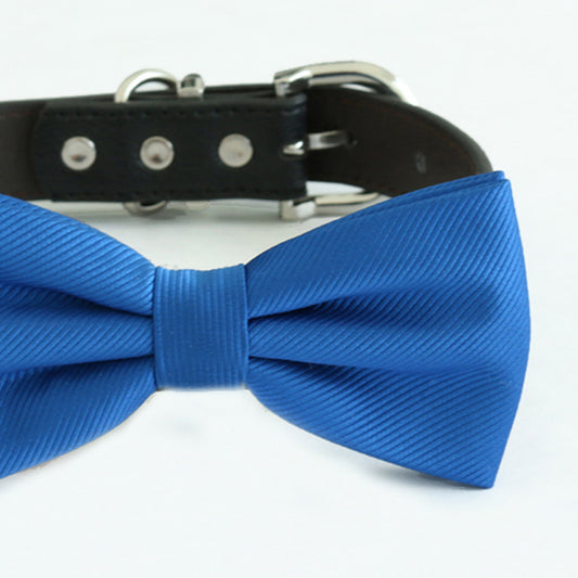 Royal blue bow tie collar, handmade Puppy bow tie, XS to XXL collar and bow adjustable Dog ring bearer ring bearer, High quality bow tie , Wedding dog collar