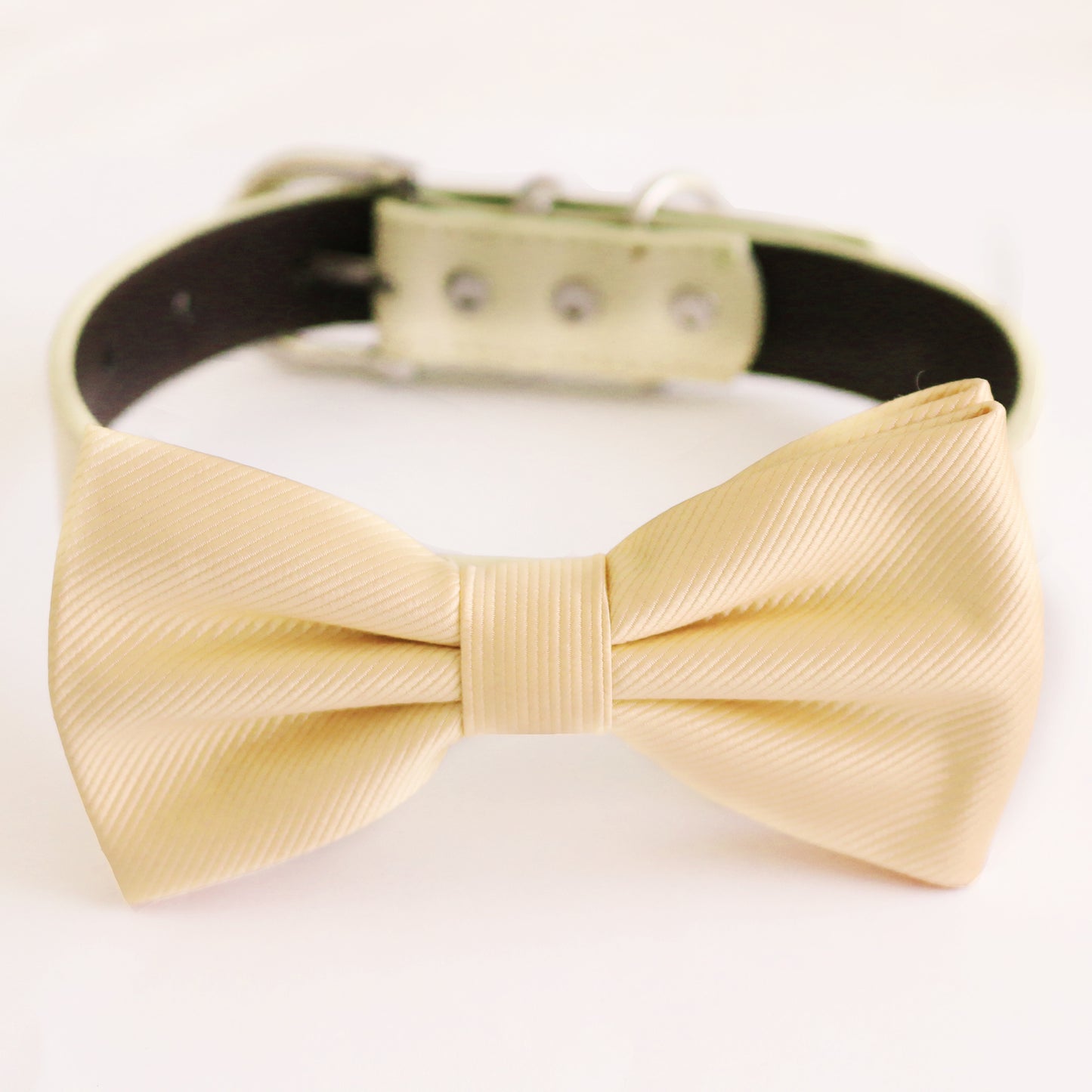 Ivory cream bow tie collar Dog ring bearer dog ring bearer XS to XXL collar and bow tie, Puppy bow tie leather adjustable dog collar , Wedding dog collar