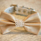 Cream Wedding dog Collar, Dog Bow tie, Dog lovers, bow with Lace , Wedding dog collar