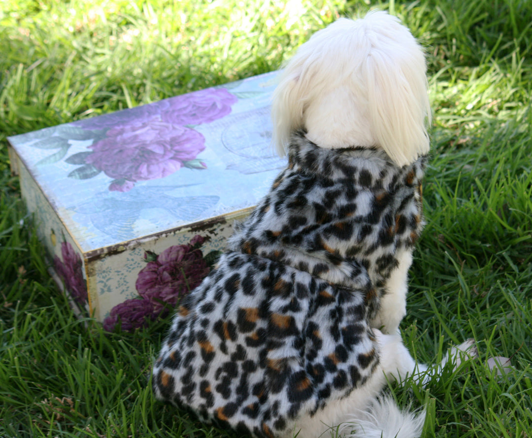 custom winter dog dress Leopard Dog Coat Jacket Dress For Winter Warmth LA Dog Store