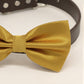 Gold bow tie attached to leather dog collar, Chic Dog Bow tie, Pet Wedding Accessories , Wedding dog collar