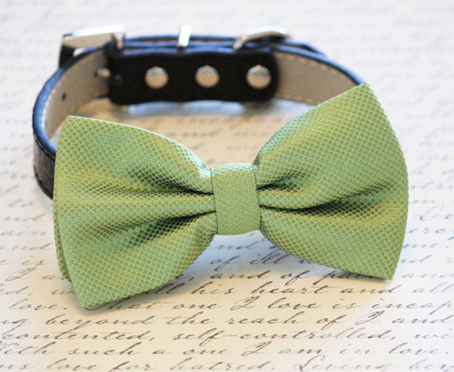 Grass Green Dog Bow tie attached to Leather Collar, Spring wedding , Wedding dog collar