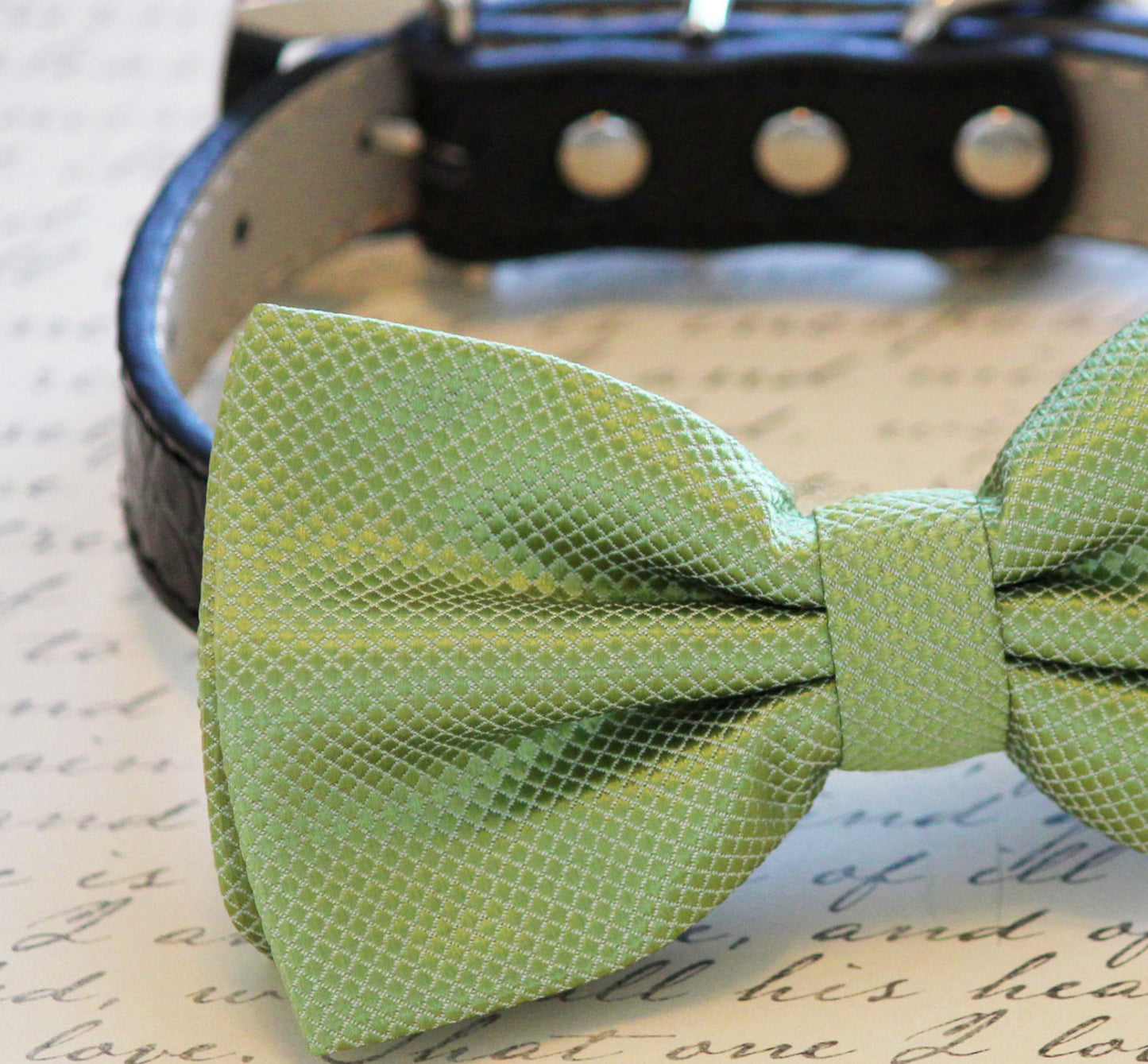 Grass Green Dog Bow tie attached to Leather Collar, Spring wedding , Wedding dog collar
