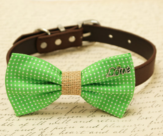 Green Dog Bow Tie attached to collar, Country Rustic, charm, Burlap bow tie, gift , Wedding dog collar