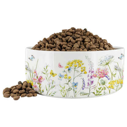 Personalized Dog Bowl Ceramic Pet Food Bowl Water Bowl Cat Bowls Dishwasher and Microwave Safe , Wedding dog collar