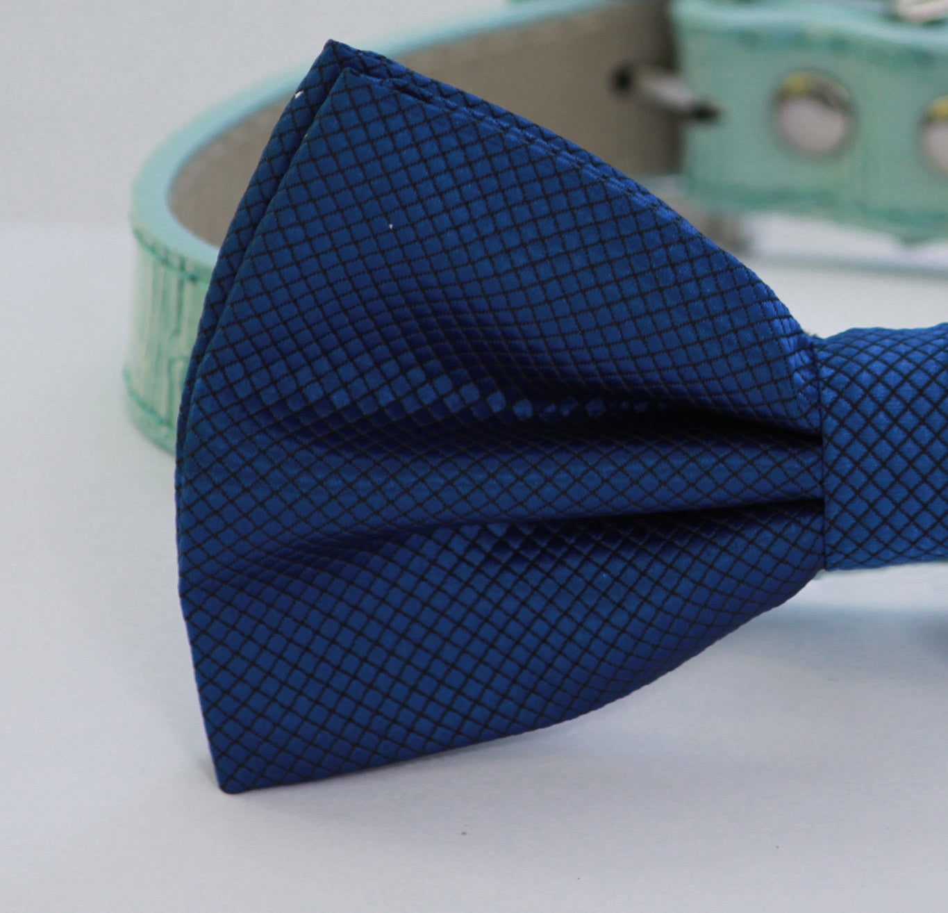 Royal Blue dog Bow tie attached to Blue Collar, Pet wedding accessory, Some thing Blue, Ocean , Wedding dog collar