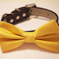 Yellow Dog Bow Tie  with high quality purple leather, , Purple Yellow Wedding accessories , Wedding dog collar
