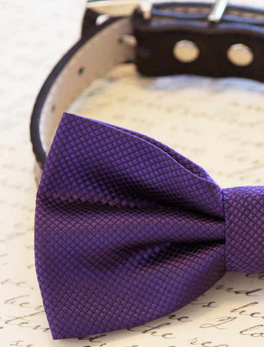 Eggplant Dog Bow tie collar, Pet Purple wedding, Dog Lovers, Love Purple , Wedding dog collar