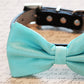 Light Blue Dog bow tie collar, Handmade , Wedding dog collar