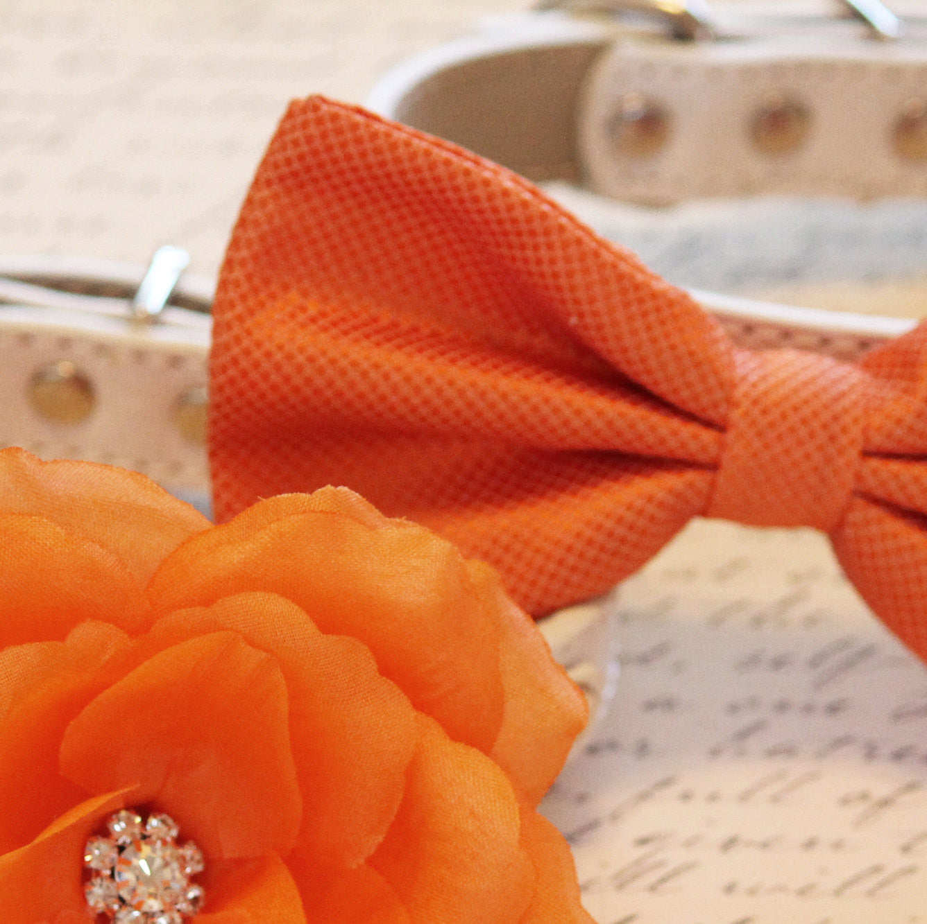 Orange Wedding Dog Collars -Two Spring Wedding Dog Collars, Orange dog bowtie and Floral Dog Collar , Wedding dog collar