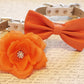 Orange Wedding Dog Collars -Two Spring Wedding Dog Collars, Orange dog bowtie and Floral Dog Collar , Wedding dog collar