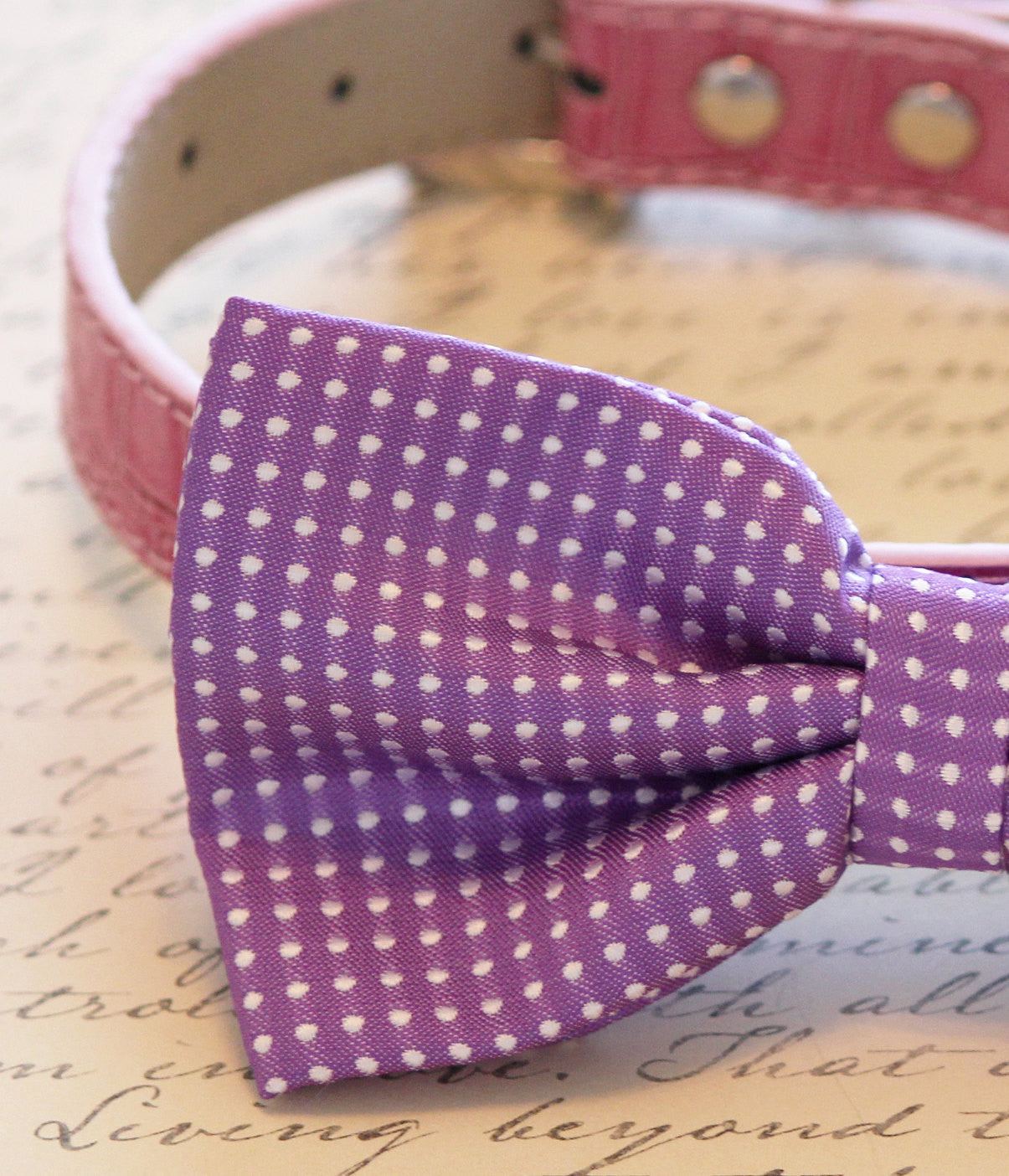 Purple Dog Bow Tie collar , Wedding dog collar