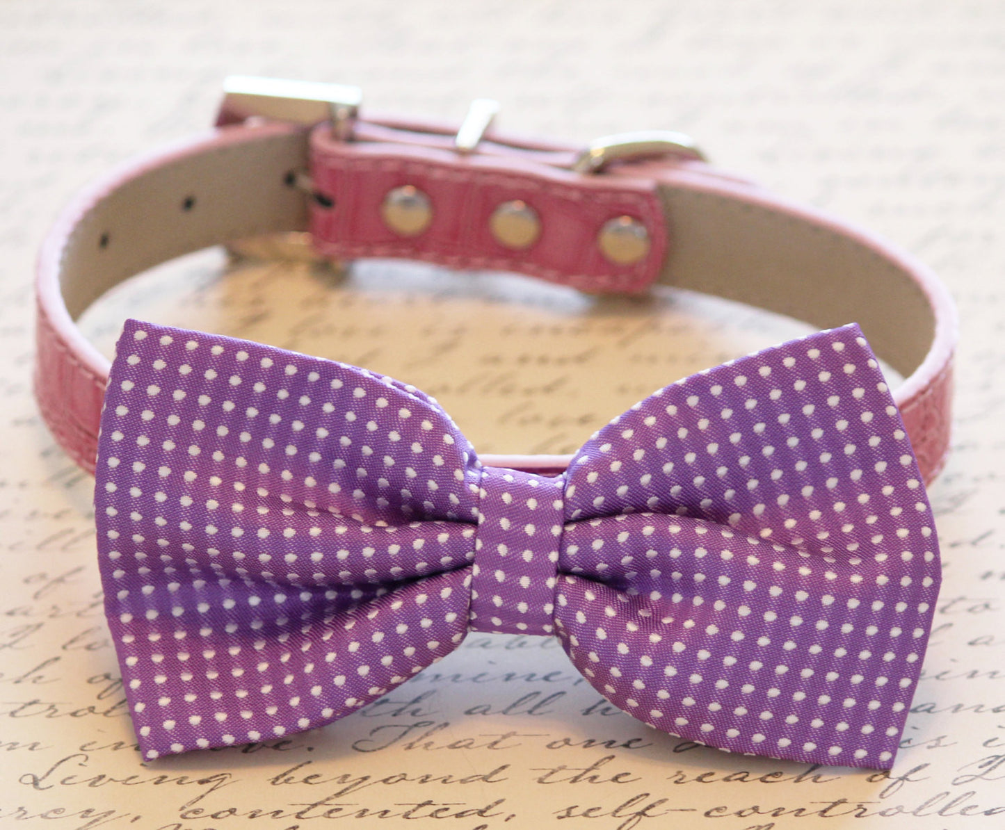 Purple Dog Bow Tie collar , Wedding dog collar