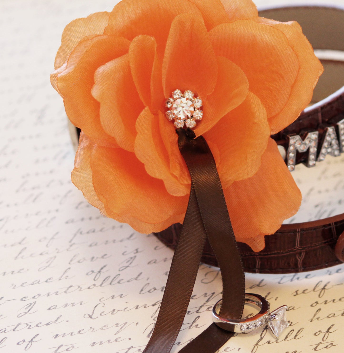 MARRY ME, Dog Collar, Brown Leather dog Collar with Marry me letters and Orange Flower ,Proposal Idea , Wedding dog collar