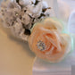 White Peach and Mint wedding dog Leash, Wedding accessory , Wedding dog collar