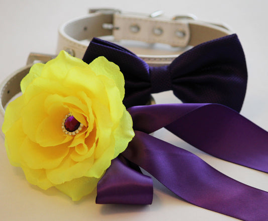 Yellow Purple wedding 2 dog collars, Floral Collar and bow tie, Wedding dog , Wedding dog collar