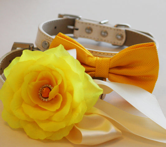 Yellow Orange wedding dog collars, 2 dog collars,  Floral dog Collar and bow tie- Yellow flower and Rhinestone, Wedding dog accessory , Wedding dog collar