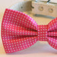 Hot Pink Polka dost dog bow tie, high quality white leather collar, Cute Dog Bowtie, Cute Dog Collar , Wedding dog collar