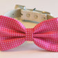 Hot Pink Polka dost dog bow tie, high quality white leather collar, Cute Dog Bowtie, Cute Dog Collar , Wedding dog collar