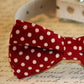Red polka dots Dog Bow tie, Wedding pet accessory , Wedding dog collar