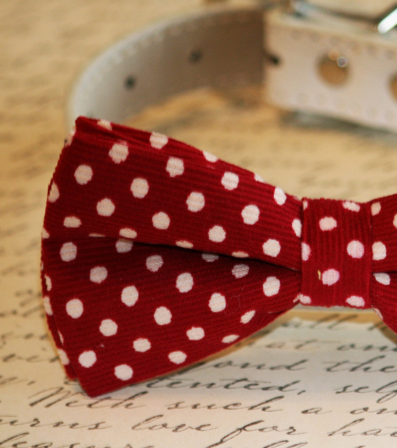 Red polka dots Dog Bow tie, Wedding pet accessory , Wedding dog collar