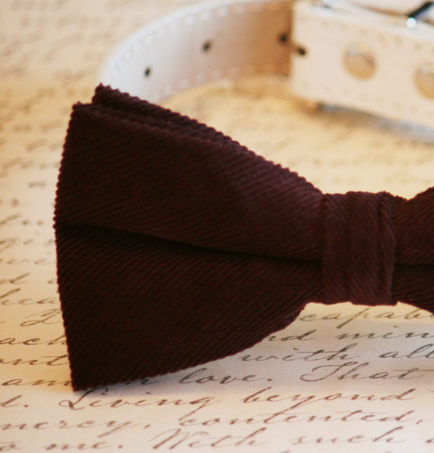 Chocolate Brown bow tie attached to dog collar, Chic Bow tie, Pet Wedding , Wedding dog collar