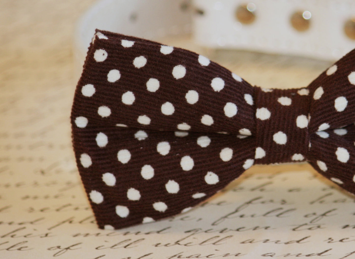 Brown Polka Dots bow tie attached to leather dog collar , Wedding dog collar