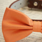 Orange Dog Bow tie collar, Pet Wedding Accessory , Wedding dog collar
