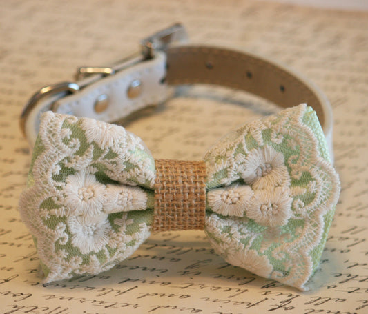 Green Lace Dog Bow Tie, Spring wedding dog accessory , Wedding dog collar