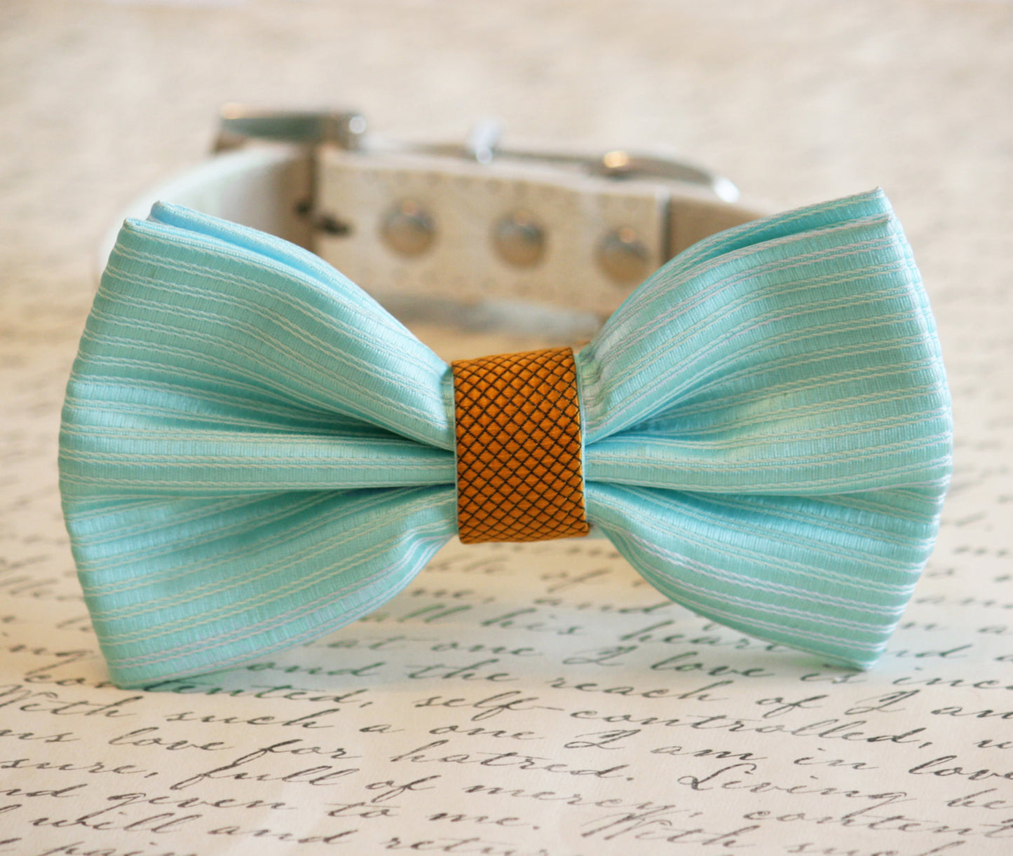 Tiffany Blue and Gold Wedding Dog Collar, Pet wedding accessory , Wedding dog collar