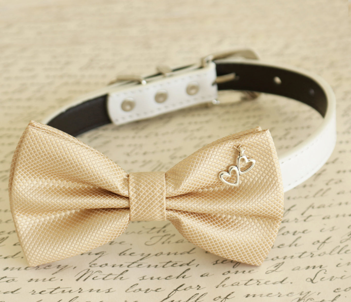 Champagne Dog Bow tie, Bow attached to dog collar , Wedding dog collar