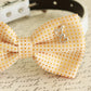 Cream Dog Bow tie collar, pet wedding accessory , Wedding dog collar