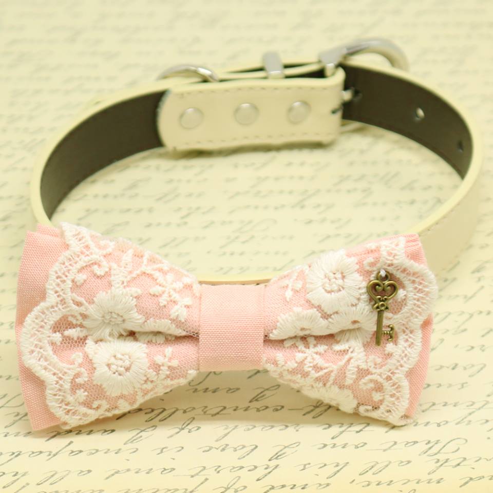 Blush pink lace dog bow tie collar with antique bronze key charm, floral embroidered lace overlay, cream vegan leather collar, and elegant vintage-inspired design