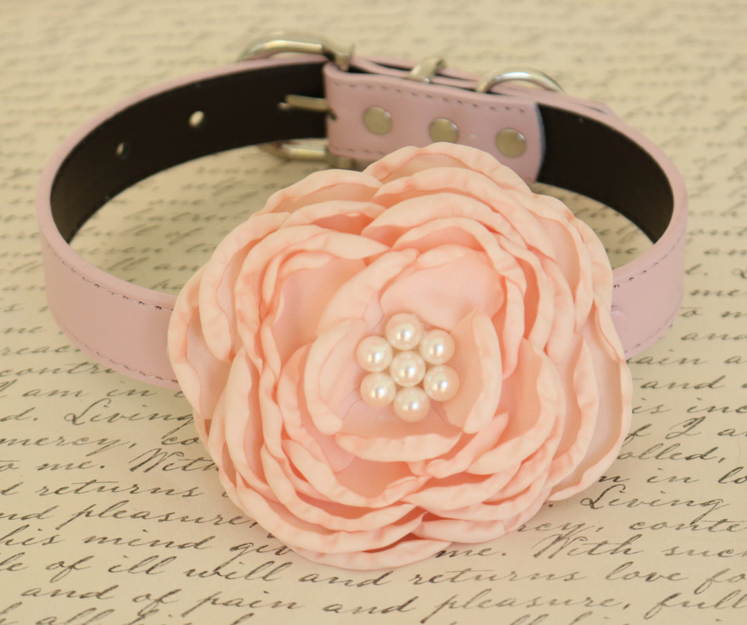 Blush pink floral dog collar featuring a large handmade peony flower with pearl center and soft vegan leather collar
