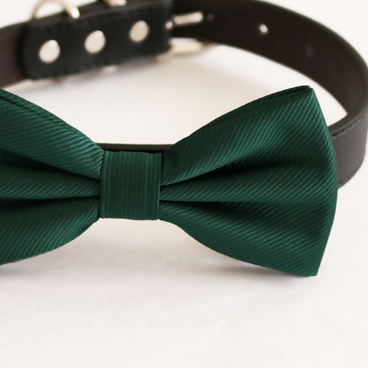 Close-up view of an emerald green satin dog bow tie attached to a black vegan leather collar